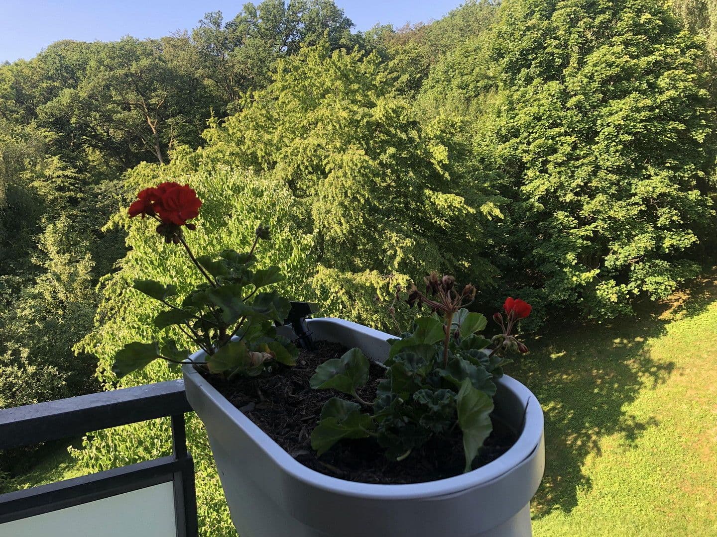 Prenájom bytu 3-izbový 91 m², Eppstein, Hesensko Prenájom bytu 3-izbový 91 m², Eppstein, Hesensko