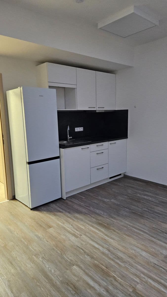 Prenájom bytu 1-izbový 23 m², Sinkulova, Praha, Praha Prenájom bytu 1-izbový 23 m², Sinkulova, Praha, Praha