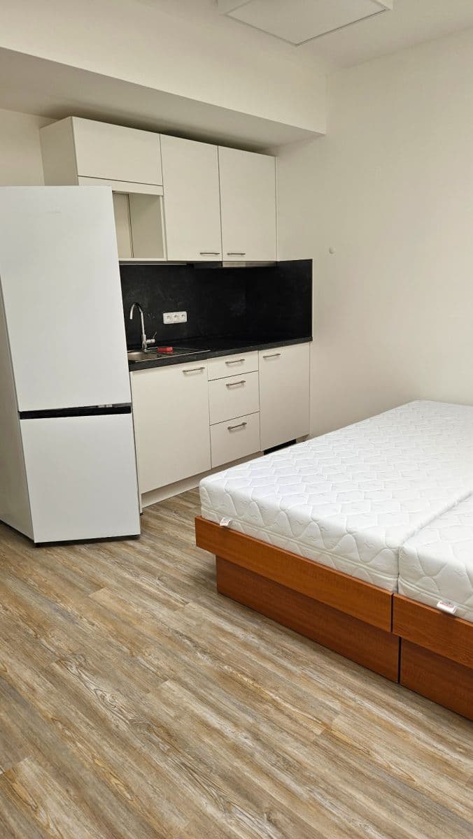 Prenájom bytu 1-izbový 23 m², Sinkulova, Praha, Praha Prenájom bytu 1-izbový 23 m², Sinkulova, Praha, Praha