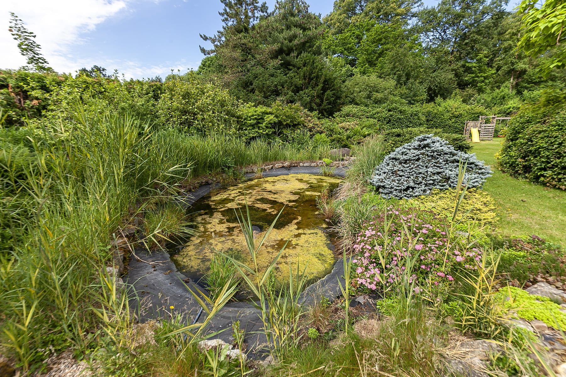 Predaj domu 152 m², pozemek 3.220 m², Na Červeném Hrádku, Sedlčany, Středočeský kraj Predaj domu 152 m², pozemek 3.220 m², Na Červeném Hrádku, Sedlčany, Středočeský kraj