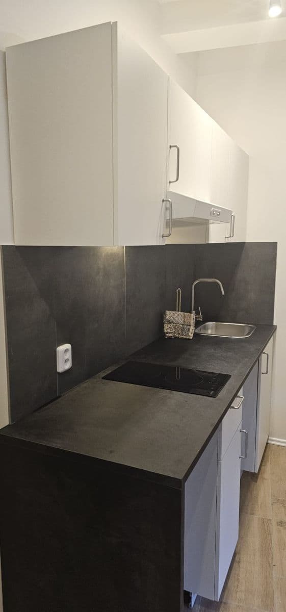 Prenájom bytu 1-izbový 26 m², Na Cikánce, Praha, Praha Prenájom bytu 1-izbový 26 m², Na Cikánce, Praha, Praha