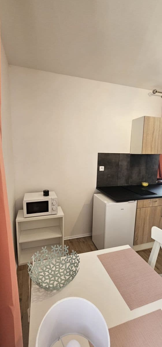 Prenájom bytu 1-izbový 28 m², Na Cikánce, Praha, Praha Prenájom bytu 1-izbový 28 m², Na Cikánce, Praha, Praha