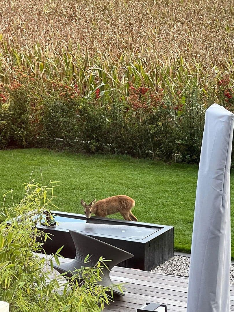 Predaj domu 226 m², pozemek 952 m², Bilshausen, Dolné Sasko Predaj domu 226 m², pozemek 952 m², Bilshausen, Dolné Sasko