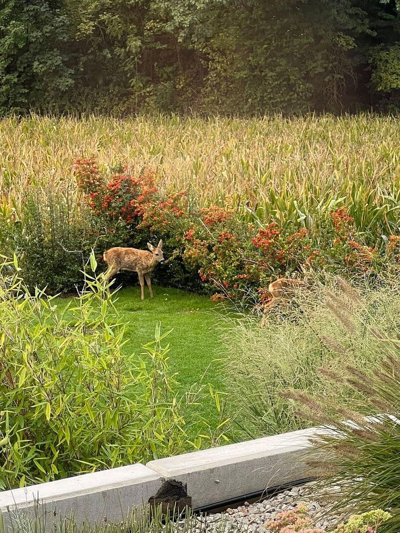 Predaj domu 226 m², pozemek 952 m², Bilshausen, Dolné Sasko Predaj domu 226 m², pozemek 952 m², Bilshausen, Dolné Sasko