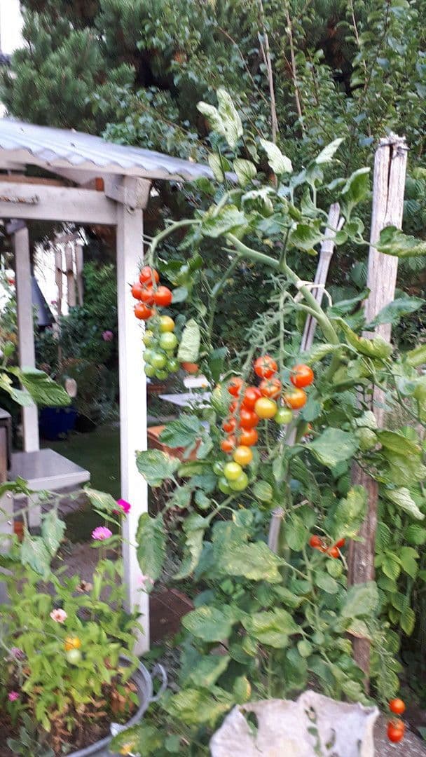 Predaj domu 200 m², pozemek 778 m², Hornberg, Bádensko-Wurttembersko Predaj domu 200 m², pozemek 778 m², Hornberg, Bádensko-Wurttembersko