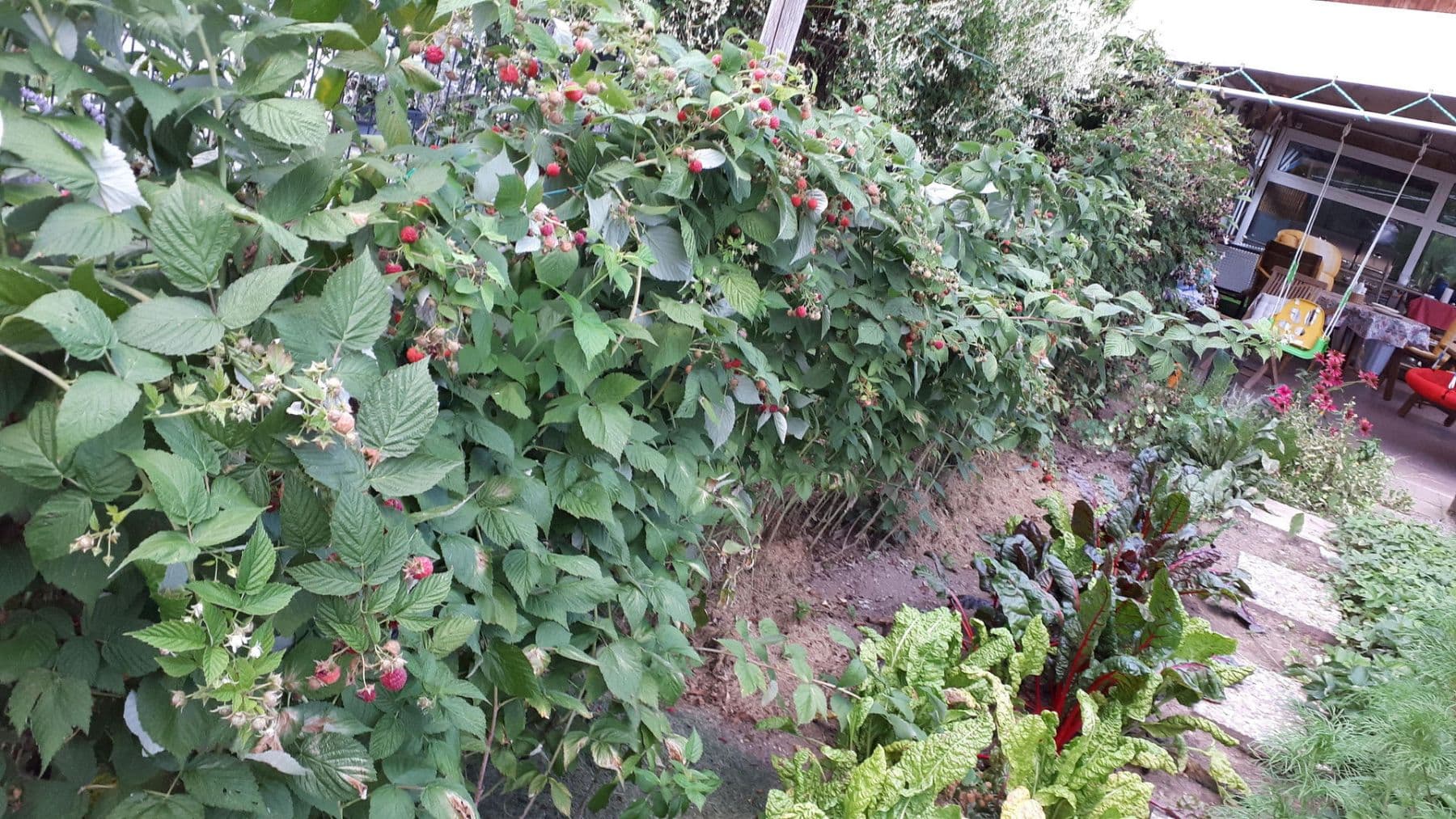 Predaj domu 200 m², pozemek 778 m², Hornberg, Bádensko-Wurttembersko Predaj domu 200 m², pozemek 778 m², Hornberg, Bádensko-Wurttembersko