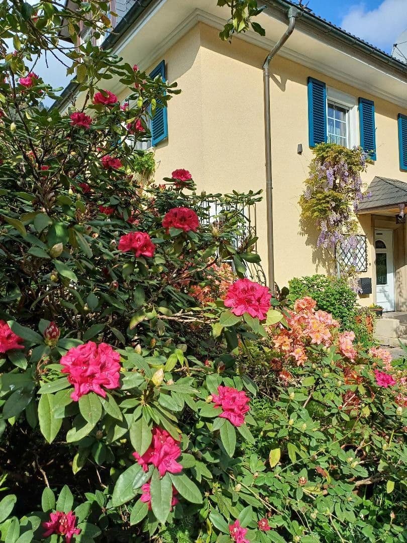 Predaj domu 200 m², pozemek 778 m², Hornberg, Bádensko-Wurttembersko Predaj domu 200 m², pozemek 778 m², Hornberg, Bádensko-Wurttembersko