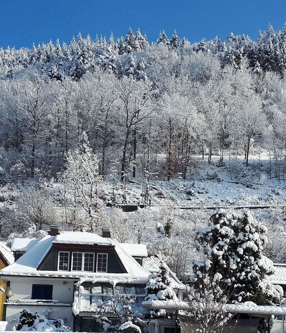 Predaj domu 200 m², pozemek 778 m², Hornberg, Bádensko-Wurttembersko Predaj domu 200 m², pozemek 778 m², Hornberg, Bádensko-Wurttembersko