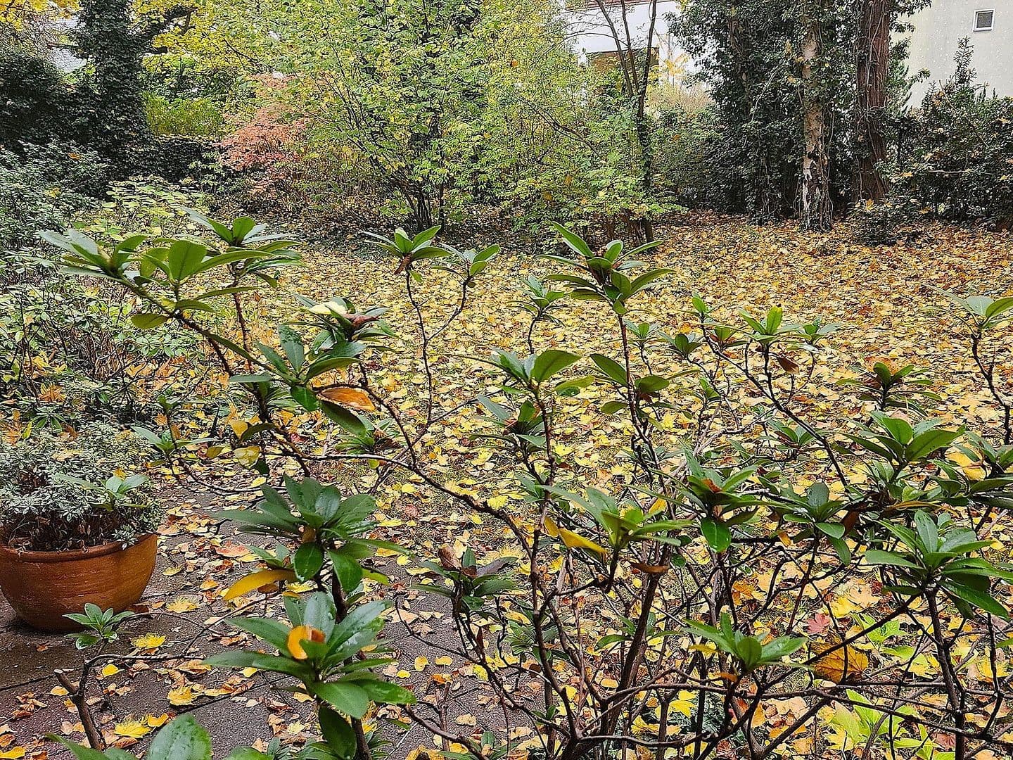 Predaj bytu 1-izbový 44 m², Berlin, Berlín Predaj bytu 1-izbový 44 m², Berlin, Berlín