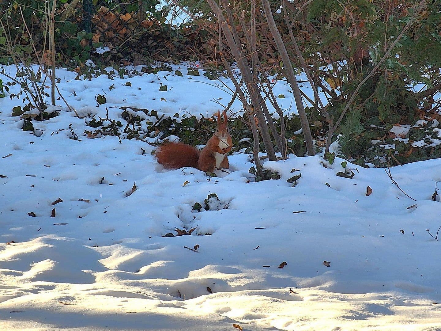 Predaj bytu 1-izbový 44 m², Berlin, Berlín Predaj bytu 1-izbový 44 m², Berlin, Berlín