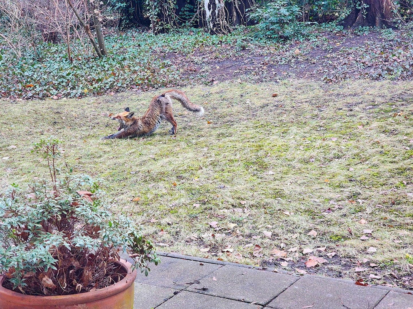 Predaj bytu 1-izbový 44 m², Berlin, Berlín Predaj bytu 1-izbový 44 m², Berlin, Berlín