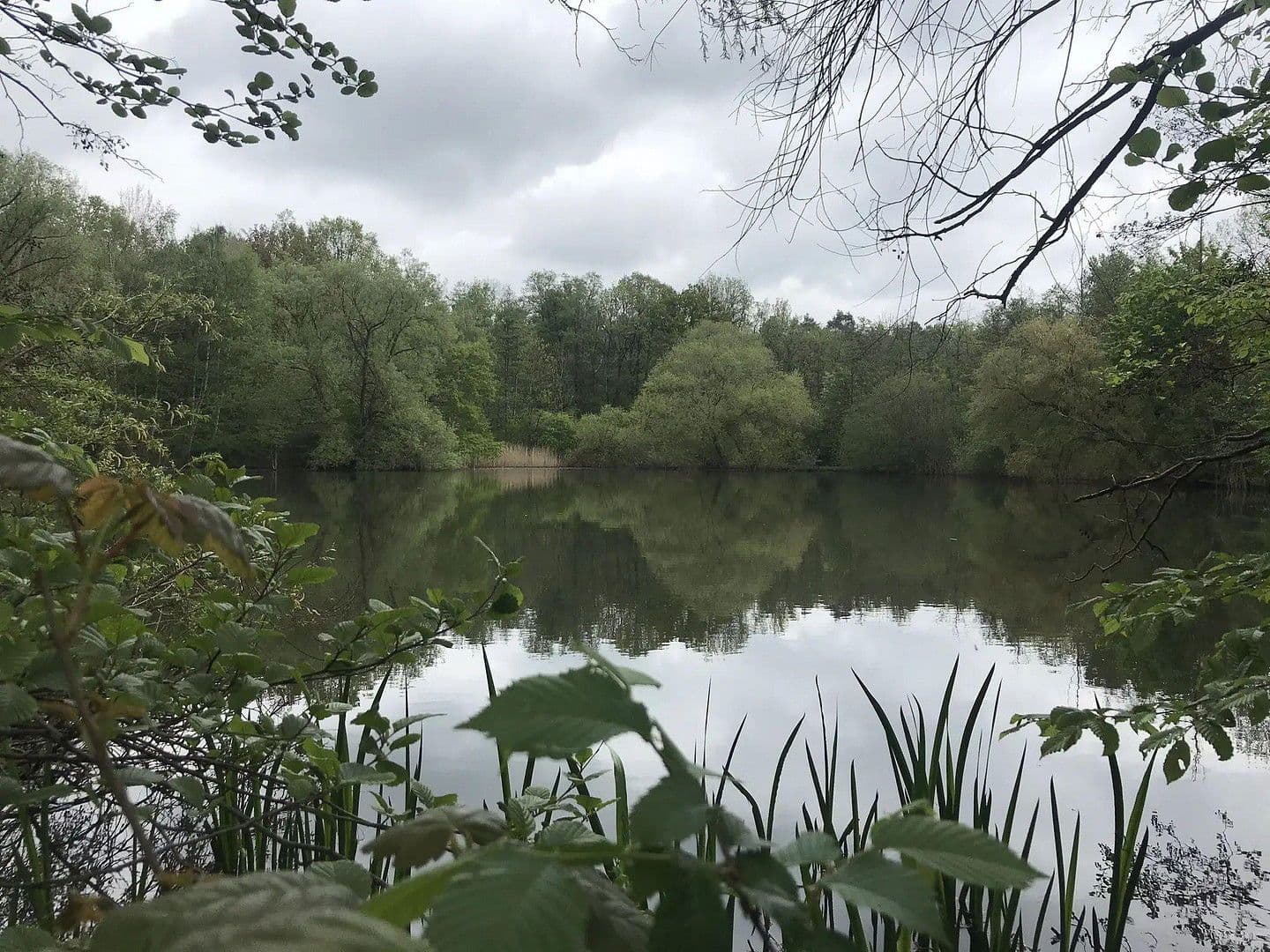 Prenájom bytu 2-izbový 60 m², Braunschweig, Dolné Sasko Prenájom bytu 2-izbový 60 m², Braunschweig, Dolné Sasko