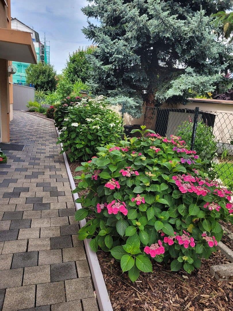 Predaj bytu 4-izbový 125 m², Oftersheim, Bádensko-Wurttembersko Predaj bytu 4-izbový 125 m², Oftersheim, Bádensko-Wurttembersko