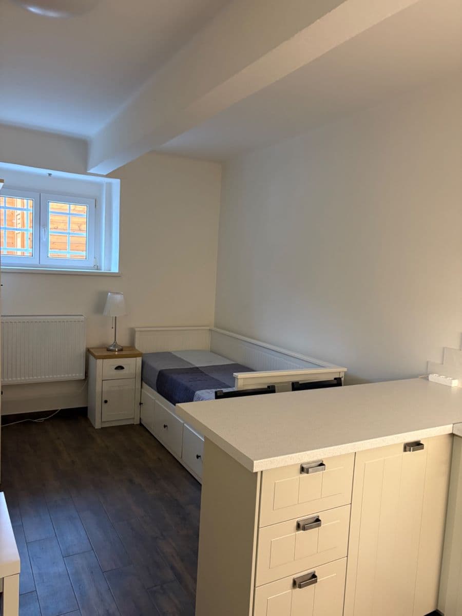 Prenájom bytu 1-izbový 20 m², V Úvalu, Praha, Praha Prenájom bytu 1-izbový 20 m², V Úvalu, Praha, Praha