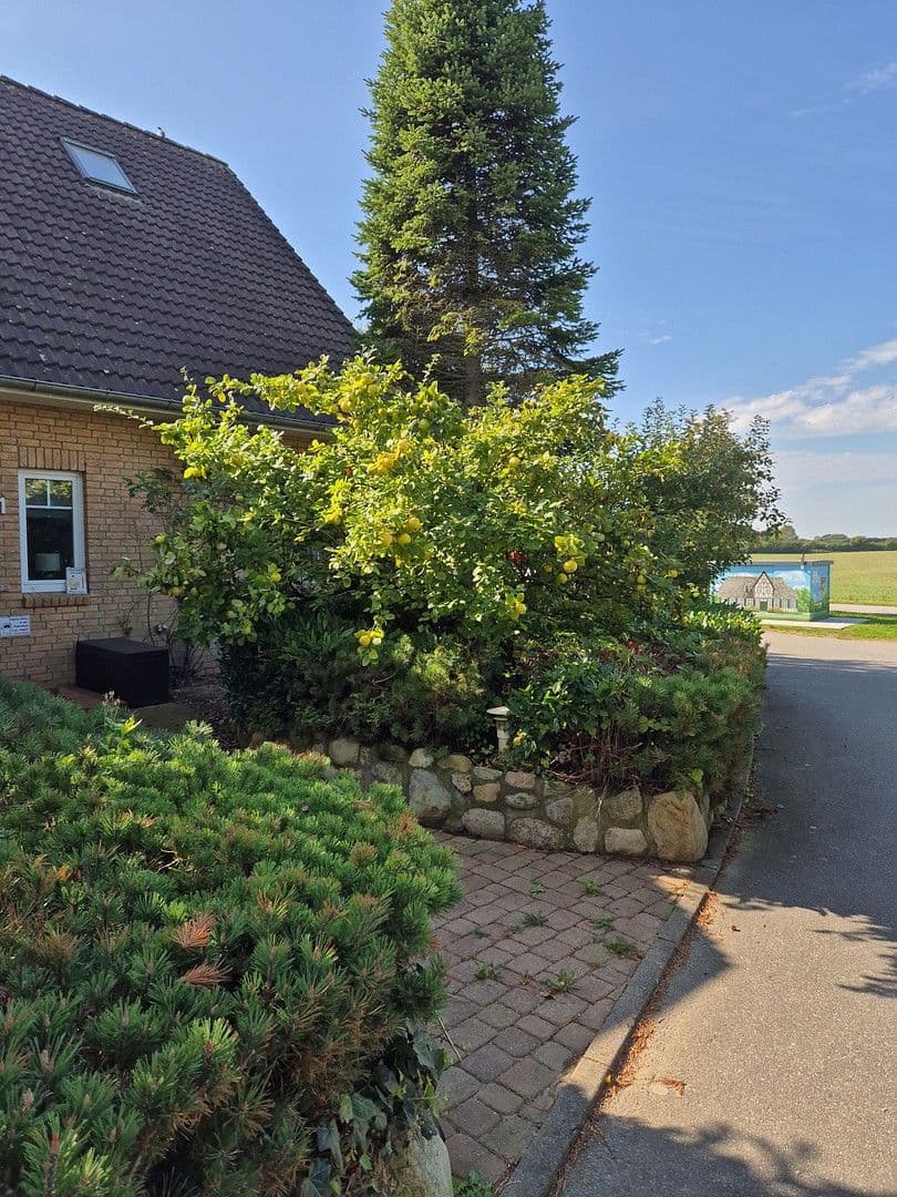 Predaj domu 181 m², pozemek 819 m², Schmiedestr.1, Twedt, Šlezvicko-Holštajnsko Predaj domu 181 m², pozemek 819 m², Schmiedestr.1, Twedt, Šlezvicko-Holštajnsko