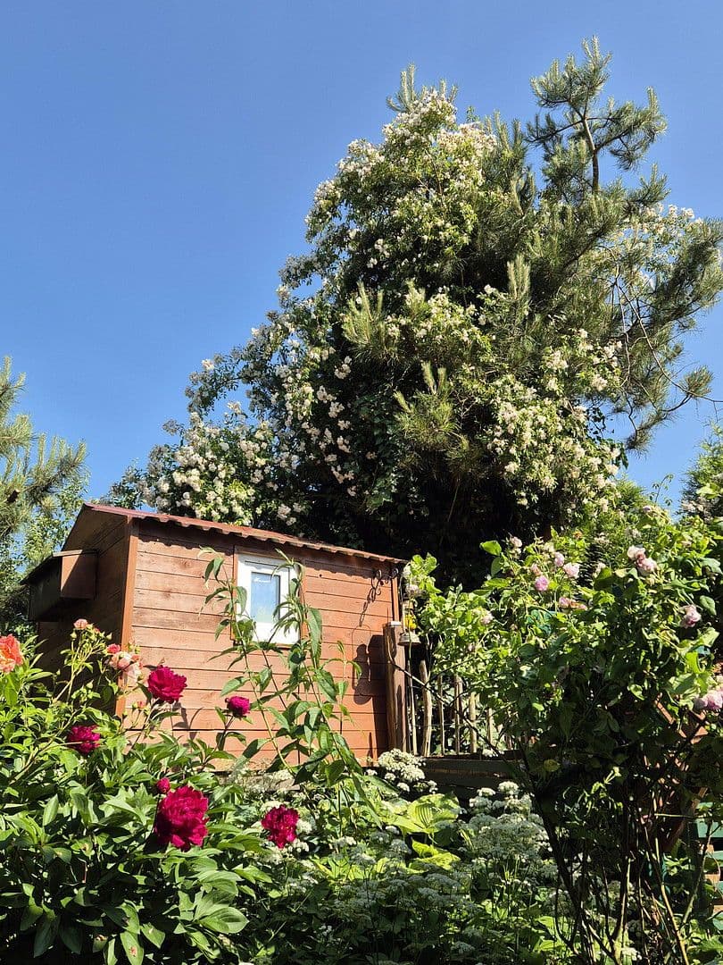 Predaj domu 181 m², pozemek 819 m², Schmiedestr.1, Twedt, Šlezvicko-Holštajnsko Predaj domu 181 m², pozemek 819 m², Schmiedestr.1, Twedt, Šlezvicko-Holštajnsko