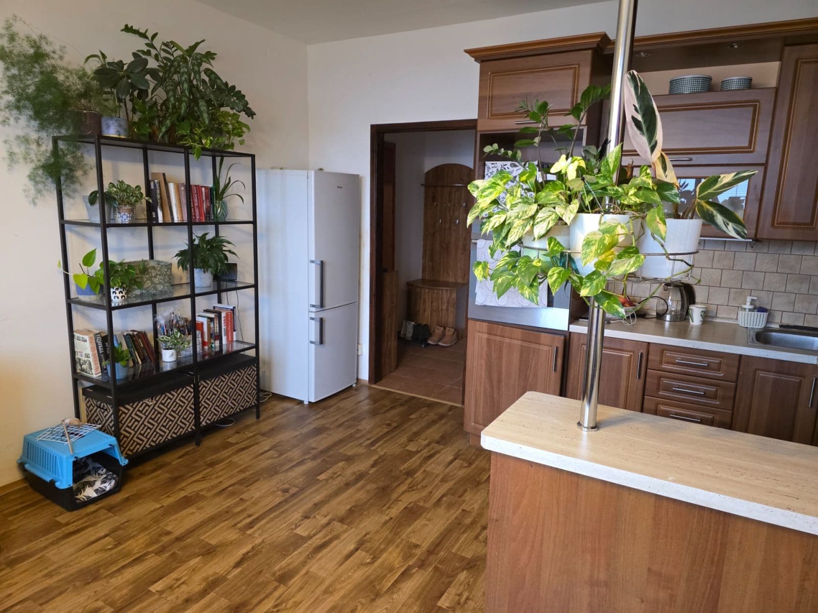 Prenájom bytu 1-izbový 42 m², Brandtova, Ústí nad Labem, Ústecký kraj Prenájom bytu 1-izbový 42 m², Brandtova, Ústí nad Labem, Ústecký kraj