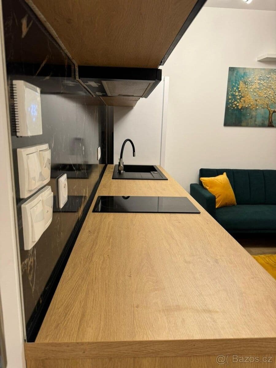 Prenájom bytu 1-izbový 40 m², Olgy Havlové, Praha, Praha Prenájom bytu 1-izbový 40 m², Olgy Havlové, Praha, Praha