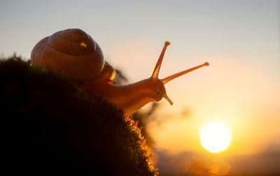 Prenájom bytu 6-izbový 123 m², Gustav-Bruhn-Straße 8, Angermünde, Brandenbursko Prenájom bytu 6-izbový 123 m², Gustav-Bruhn-Straße 8, Angermünde, Brandenbursko