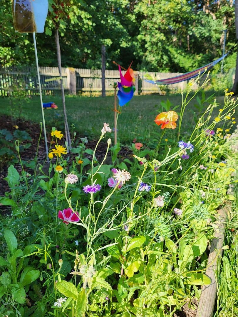 Prenájom domu 90 m², pozemek 350 m², Röthenbach an der Pegnitz, Bavorsko Prenájom domu 90 m², pozemek 350 m², Röthenbach an der Pegnitz, Bavorsko