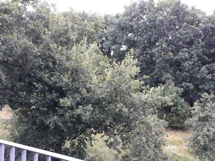 Prenájom bytu 3-izbový 80 m², Schlierbachstraße 17, Hetzles, Bavorsko Prenájom bytu 3-izbový 80 m², Schlierbachstraße 17, Hetzles, Bavorsko