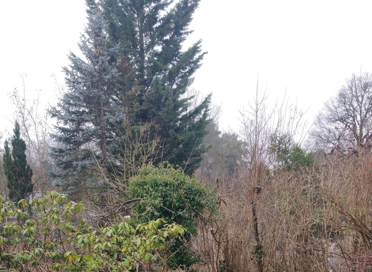 Predaj domu 180 m², pozemek 1.412 m², Wildbahn 48, Berlin, Berlín Predaj domu 180 m², pozemek 1.412 m², Wildbahn 48, Berlin, Berlín