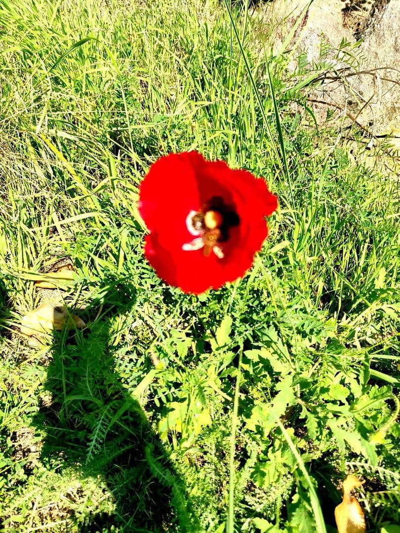 Predaj domu 180 m², pozemek 1.412 m², Wildbahn 48, Berlin, Berlín Predaj domu 180 m², pozemek 1.412 m², Wildbahn 48, Berlin, Berlín