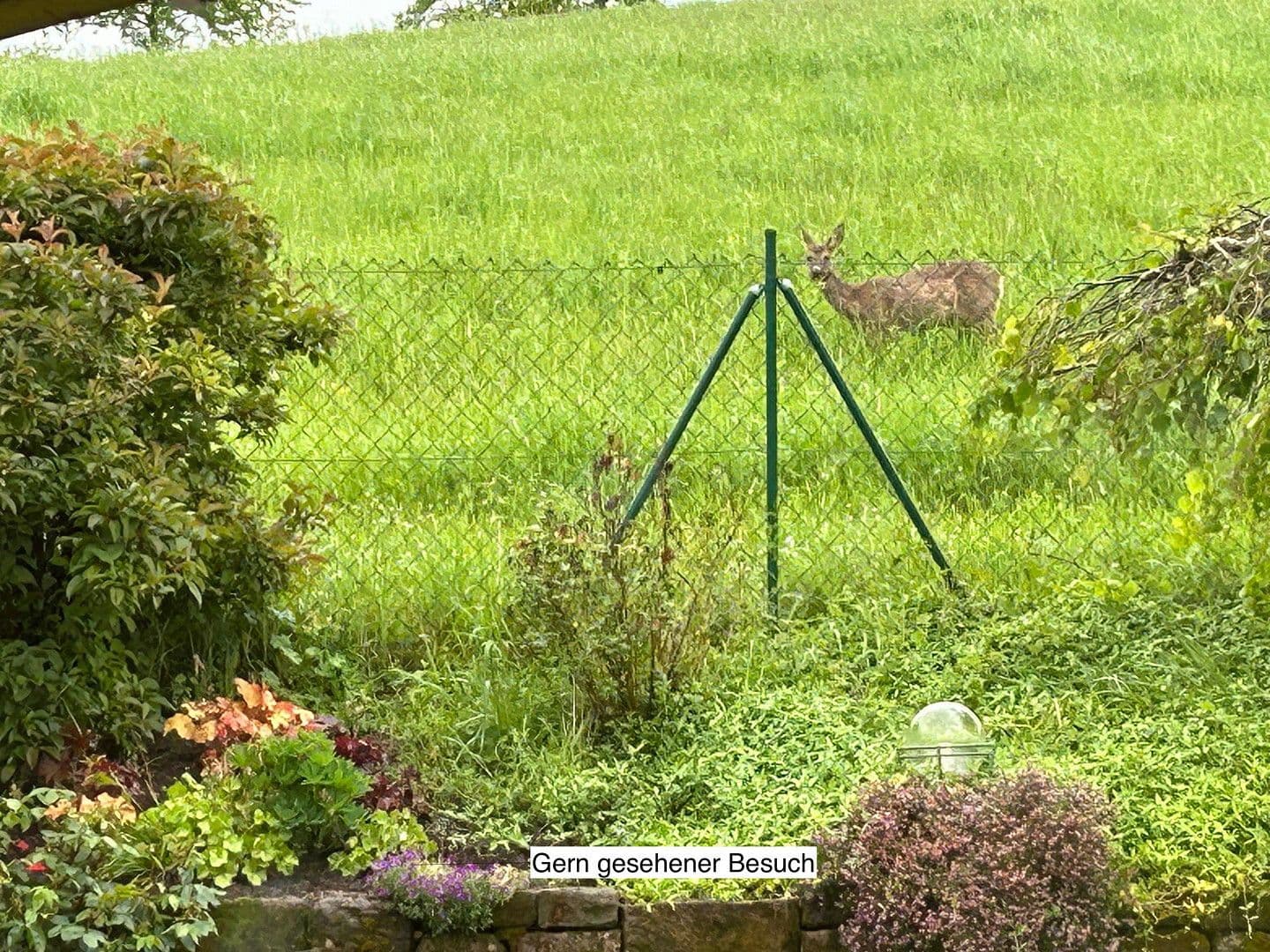 Predaj domu 181 m², pozemek 617 m², Hangstraße 18, Nünschweiler, Porýnie-Falcko Predaj domu 181 m², pozemek 617 m², Hangstraße 18, Nünschweiler, Porýnie-Falcko