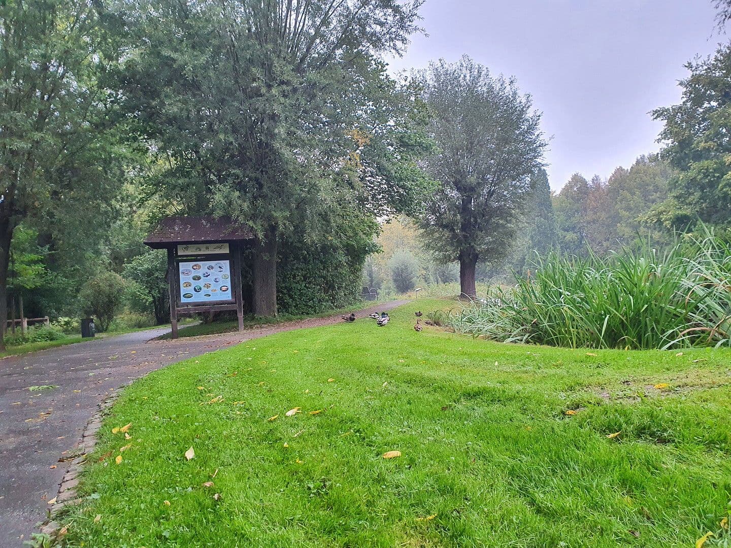 Predaj bytu 3-izbový 79 m², Vellmar, Hesensko Predaj bytu 3-izbový 79 m², Vellmar, Hesensko