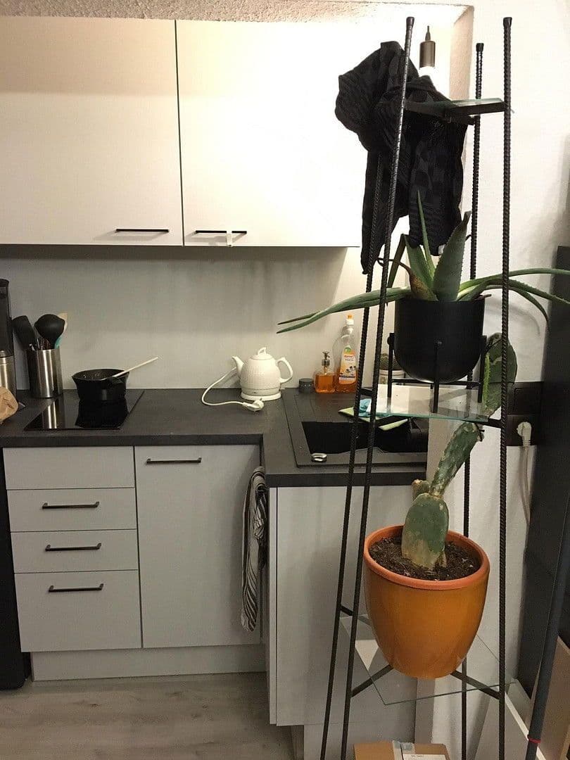 Prenájom bytu 1-izbový 28 m², Mühlenweg 1, Braunschweig, Dolné Sasko Prenájom bytu 1-izbový 28 m², Mühlenweg 1, Braunschweig, Dolné Sasko