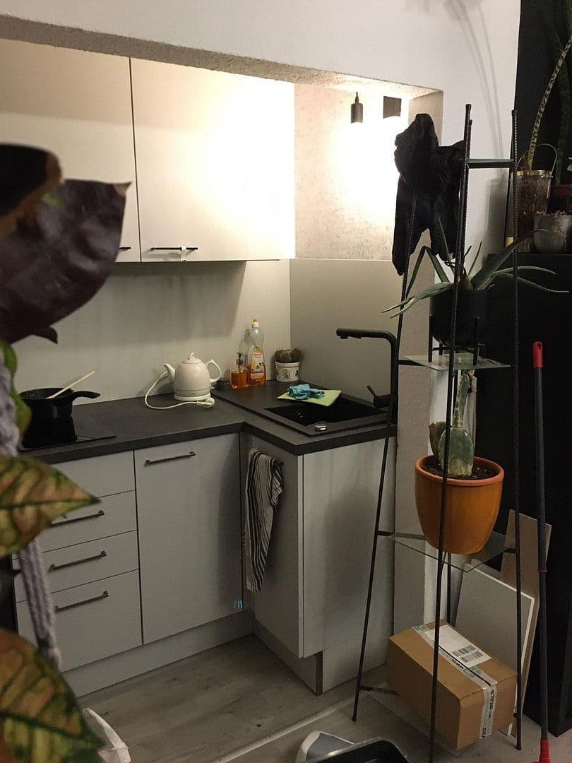 Prenájom bytu 1-izbový 28 m², Mühlenweg 1, Braunschweig, Dolné Sasko Prenájom bytu 1-izbový 28 m², Mühlenweg 1, Braunschweig, Dolné Sasko