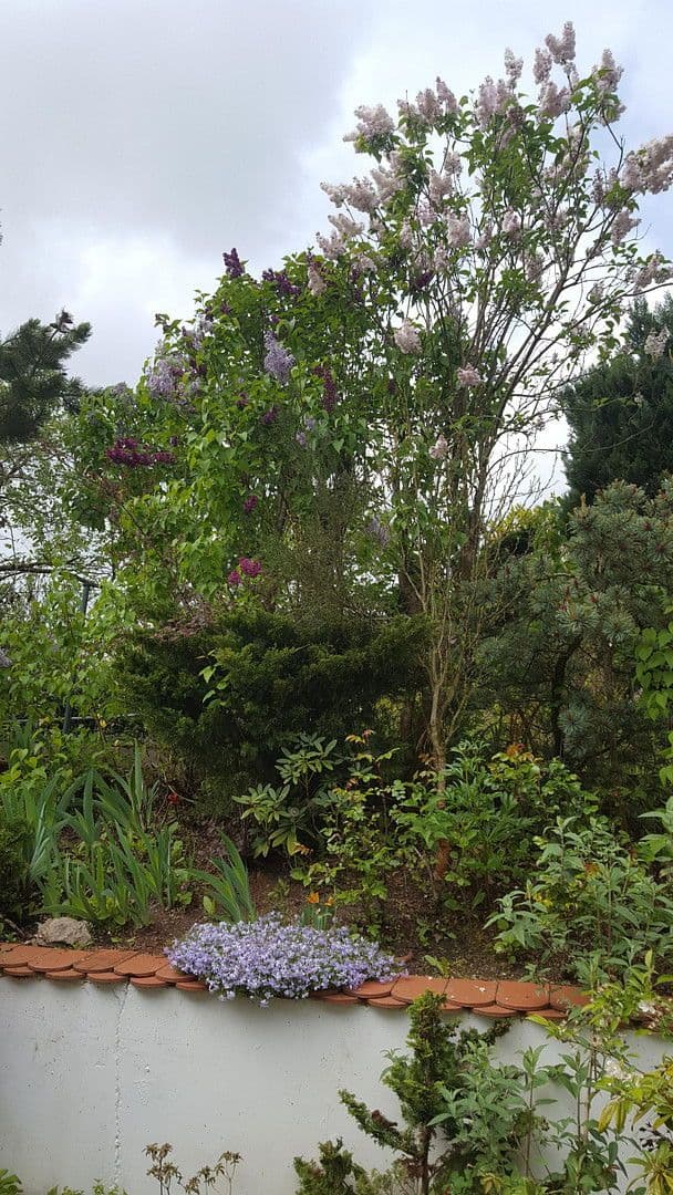 Predaj domu 132 m², pozemek 256 m², Dasing, Bavorsko Predaj domu 132 m², pozemek 256 m², Dasing, Bavorsko