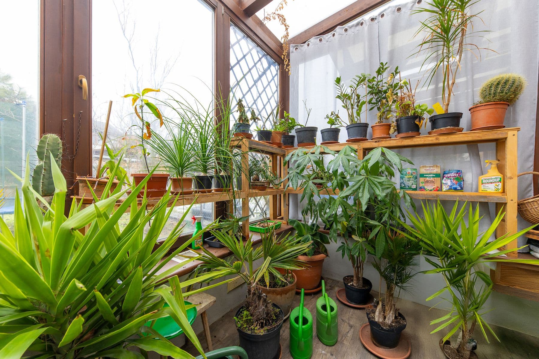 Predaj domu 215 m², pozemek 473 m², Křemelná, Křelov-Břuchotín, Olomoucký kraj Predaj domu 215 m², pozemek 473 m², Křemelná, Křelov-Břuchotín, Olomoucký kraj