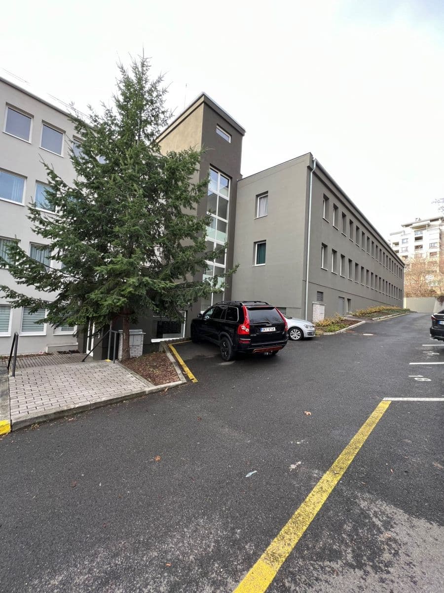 Prenájom bytu 1-izbový 20 m², Perucká, Praha, Praha Prenájom bytu 1-izbový 20 m², Perucká, Praha, Praha