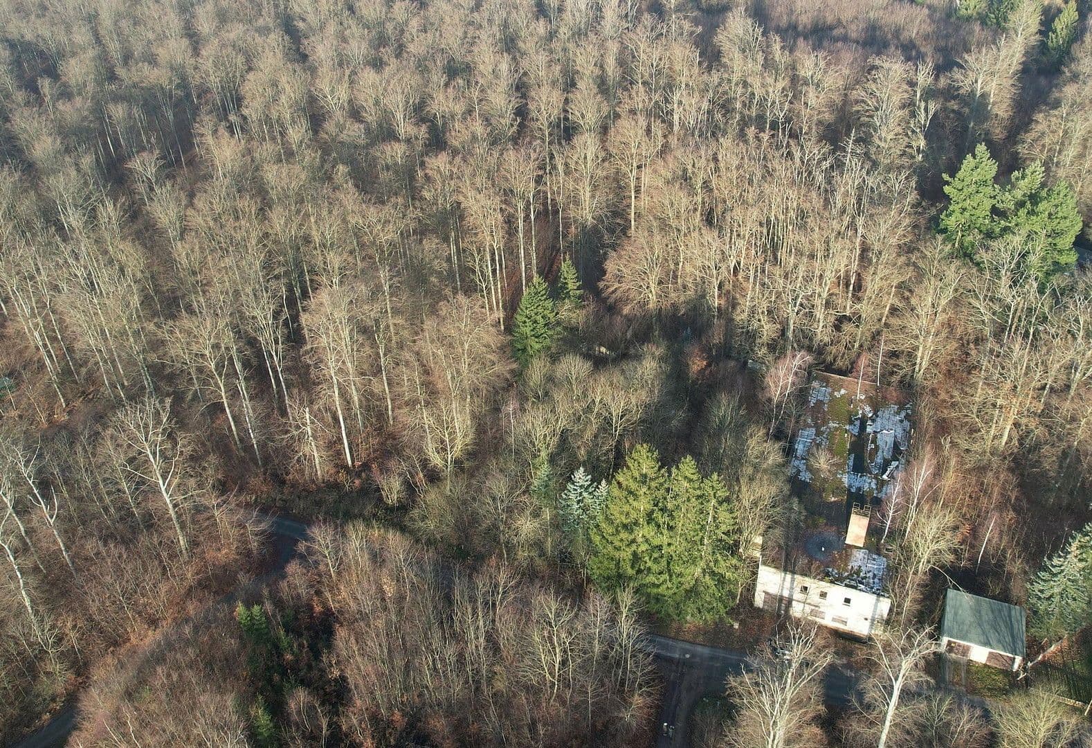 Predaj pozemku 7.076 m², Klobenberg 1, Thale, Sasko-Anhaltsko Predaj pozemku 7.076 m², Klobenberg 1, Thale, Sasko-Anhaltsko