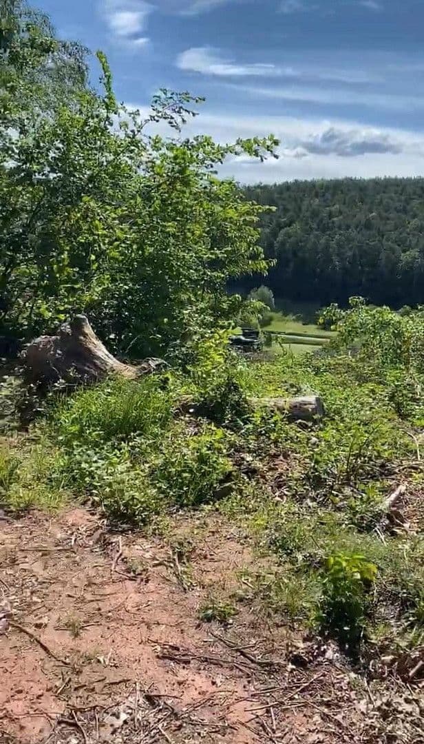 Predaj domu 150 m², pozemek 1.000 m², Lützelbach, Hesensko Predaj domu 150 m², pozemek 1.000 m², Lützelbach, Hesensko