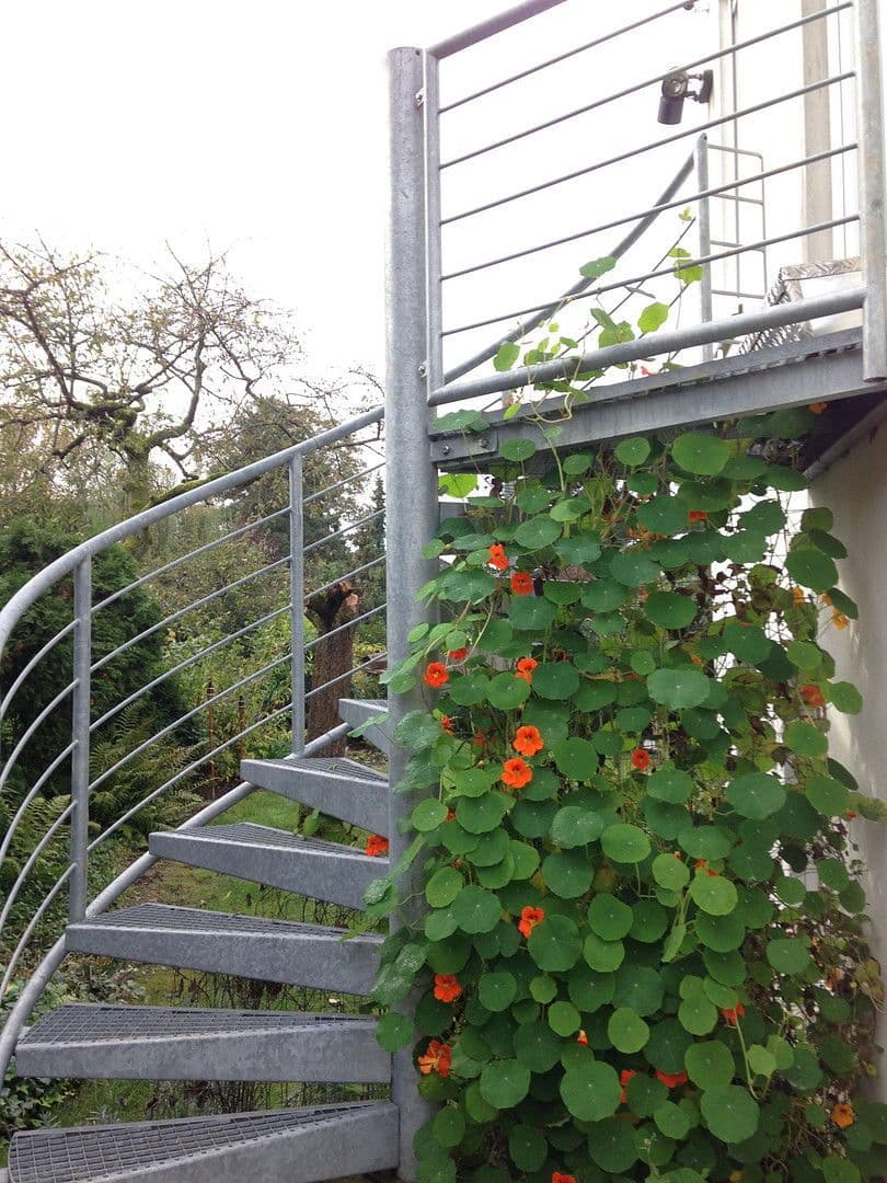 Prenájom bytu 1-izbový 35 m², Wiesbaden, Hesensko Prenájom bytu 1-izbový 35 m², Wiesbaden, Hesensko