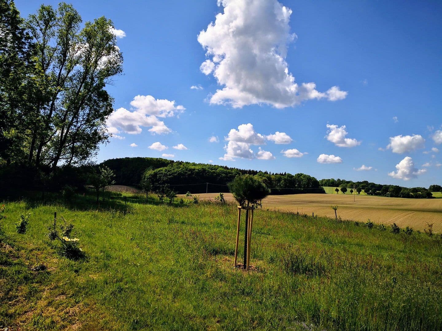 Predaj pozemku 2.000 m², Alter Kastanienweg 8, Satow, Meklenbursko-Predpomoransko Predaj pozemku 2.000 m², Alter Kastanienweg 8, Satow, Meklenbursko-Predpomoransko