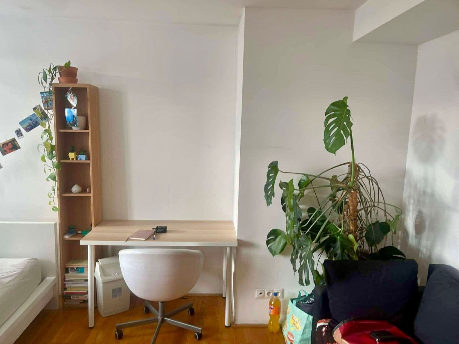 Prenájom bytu 5-izbový 19 m², Řehořova, Praha, Praha Prenájom bytu 5-izbový 19 m², Řehořova, Praha, Praha