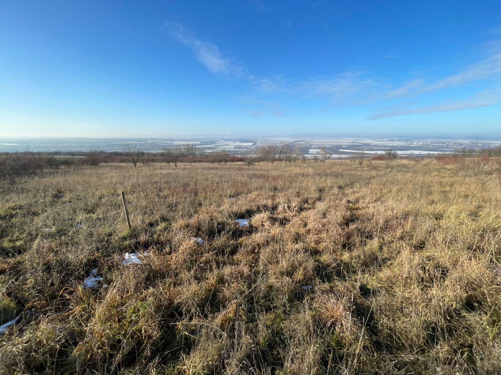 Predaj pozemku 7.721 m², Židlochovice, Jihomoravský kraj Predaj pozemku 7.721 m², Židlochovice, Jihomoravský kraj