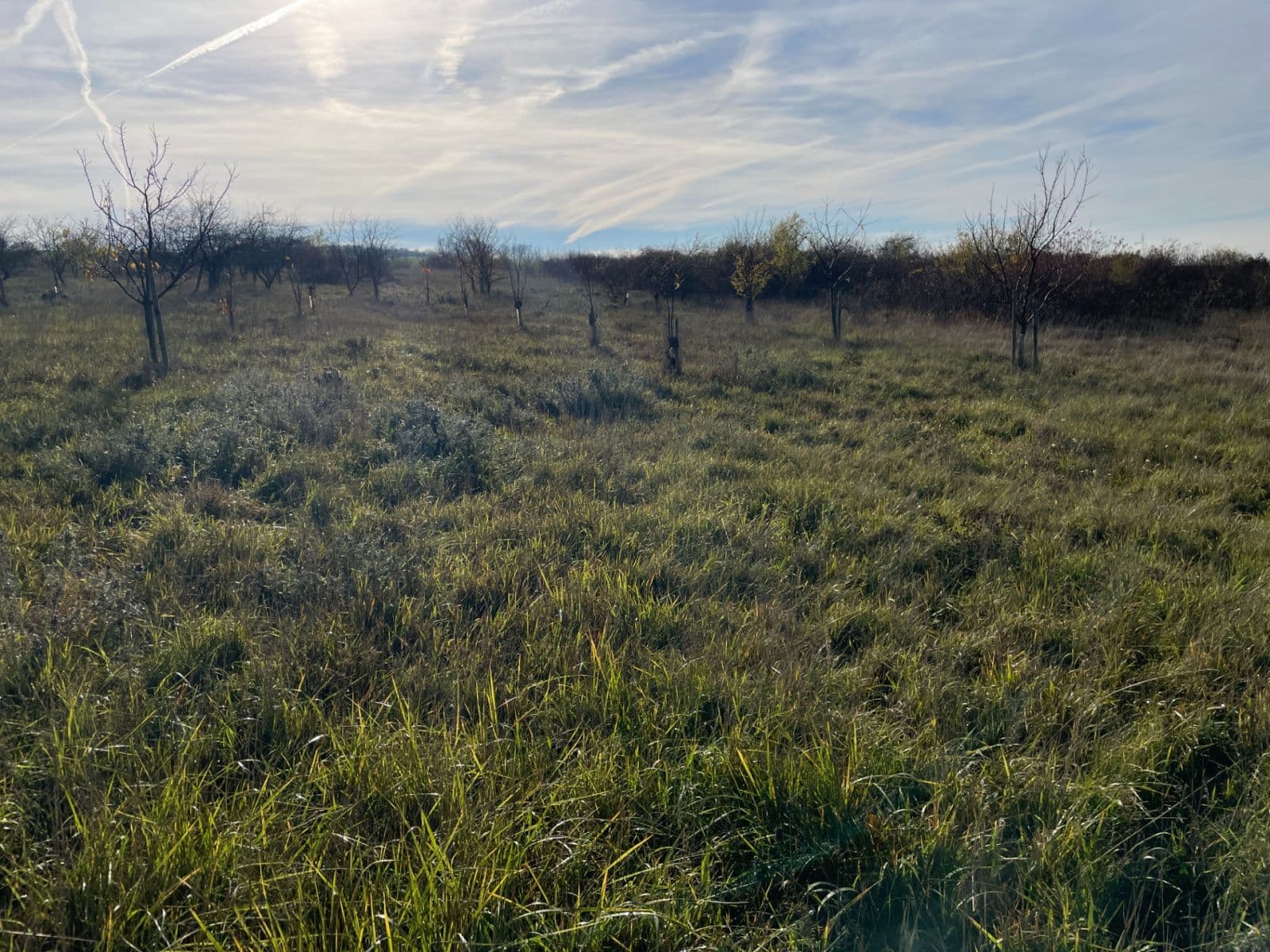 Predaj pozemku 7.721 m², Židlochovice, Jihomoravský kraj Predaj pozemku 7.721 m², Židlochovice, Jihomoravský kraj