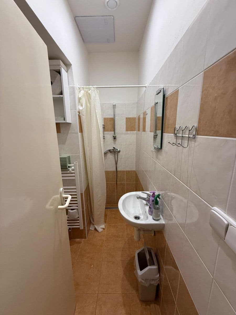 Prenájom bytu 300 m², Lublaňská, Praha, Praha Prenájom bytu 300 m², Lublaňská, Praha, Praha