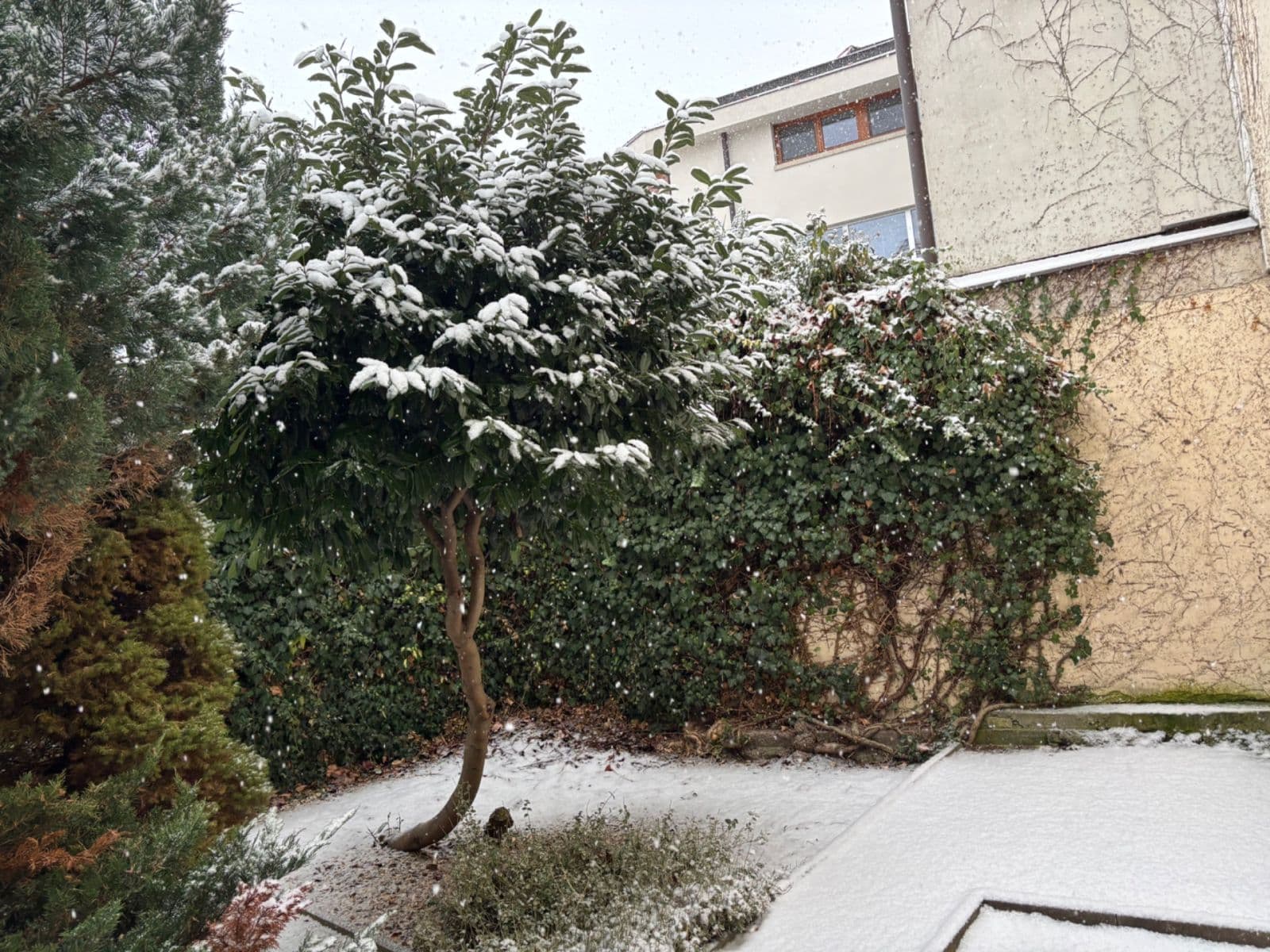 Predaj bytu 2-izbový 50 m², Vocelova, Kutná Hora, Středočeský kraj Predaj bytu 2-izbový 50 m², Vocelova, Kutná Hora, Středočeský kraj