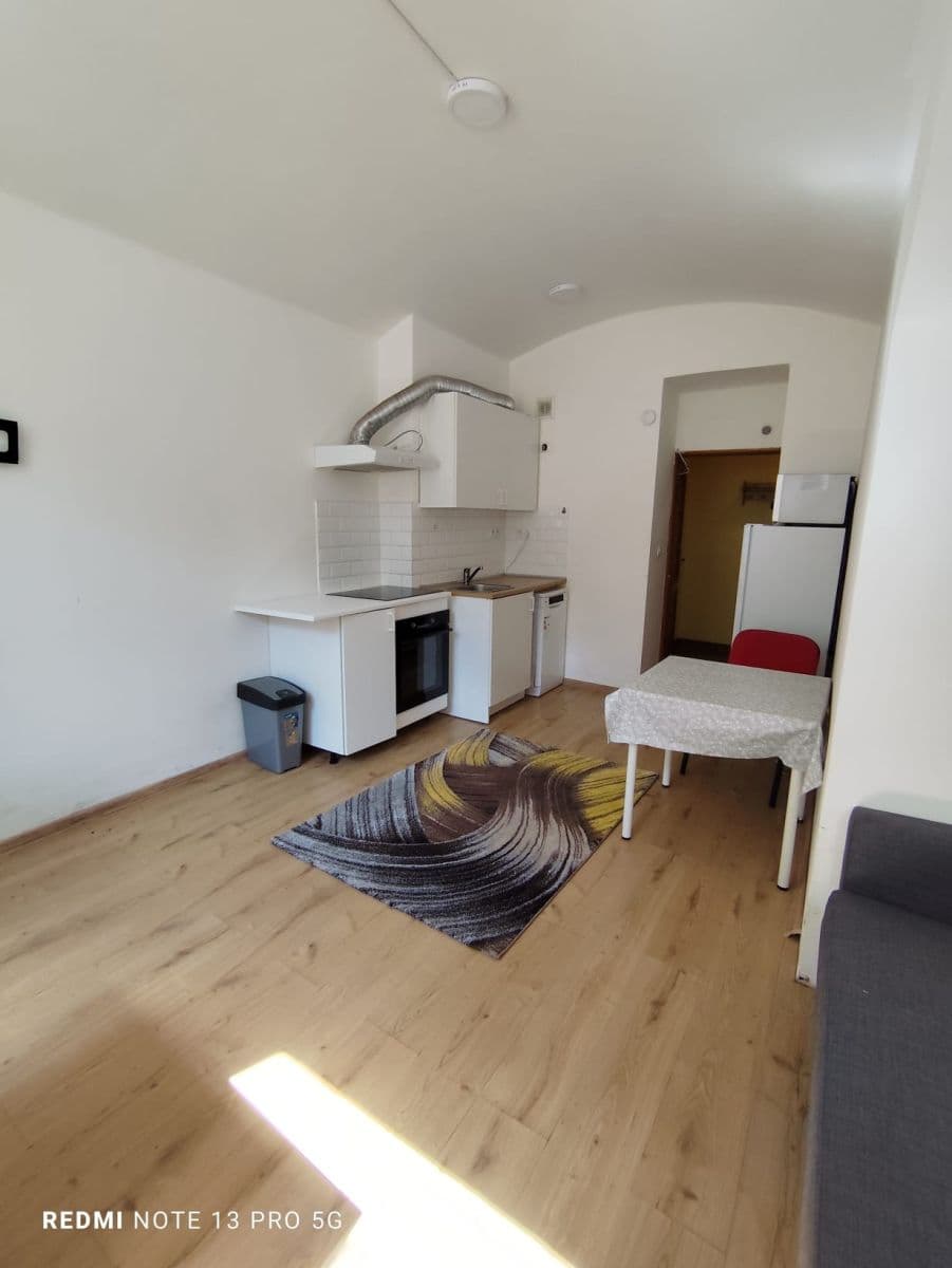 Prenájom bytu 1-izbový 26 m², Holandská, Praha, Praha Prenájom bytu 1-izbový 26 m², Holandská, Praha, Praha