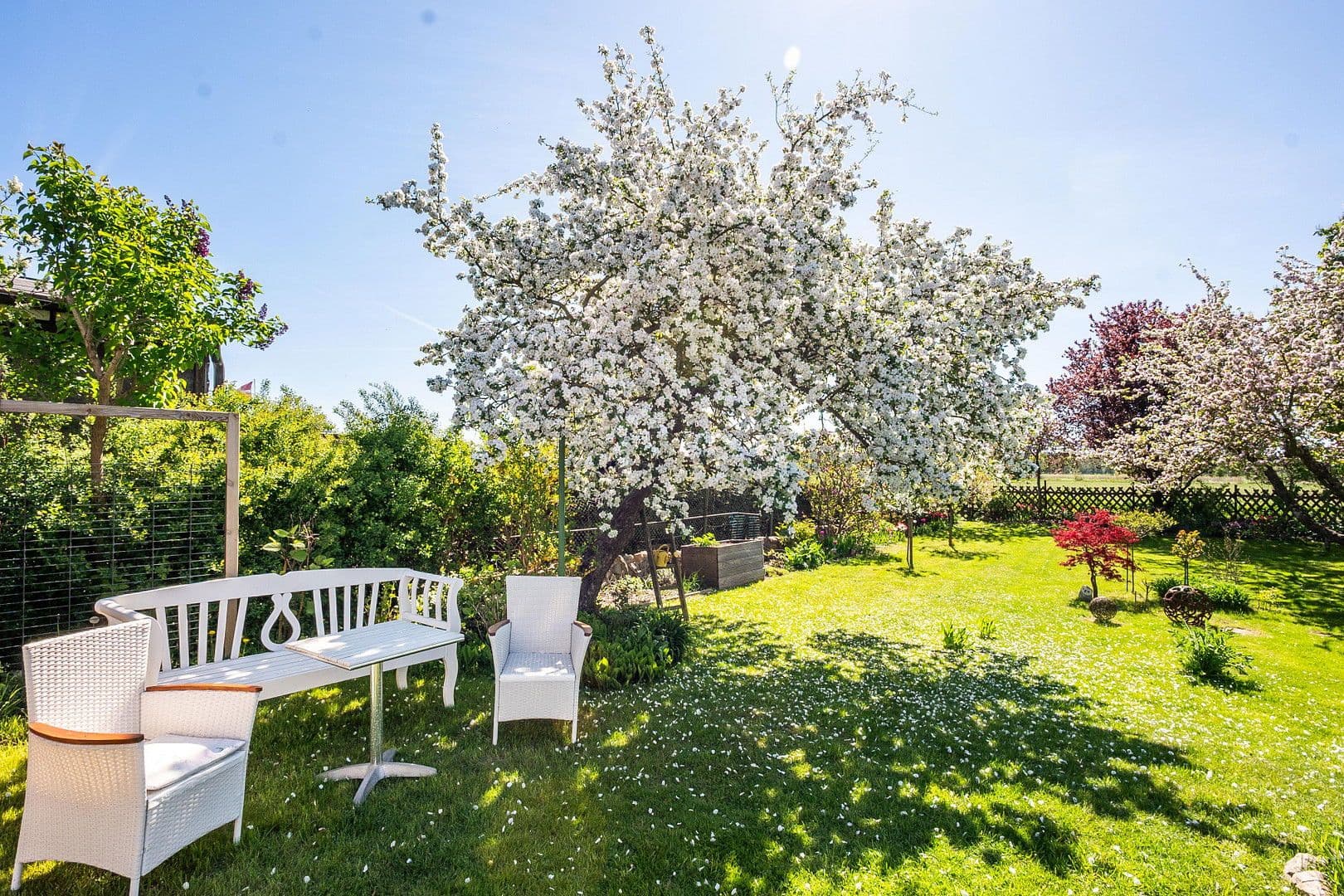 Predaj domu 145 m², pozemek 987 m², Stralsunder Straße 18, Ueckermünde, Meklenbursko-Predpomoransko Predaj domu 145 m², pozemek 987 m², Stralsunder Straße 18, Ueckermünde, Meklenbursko-Predpomoransko