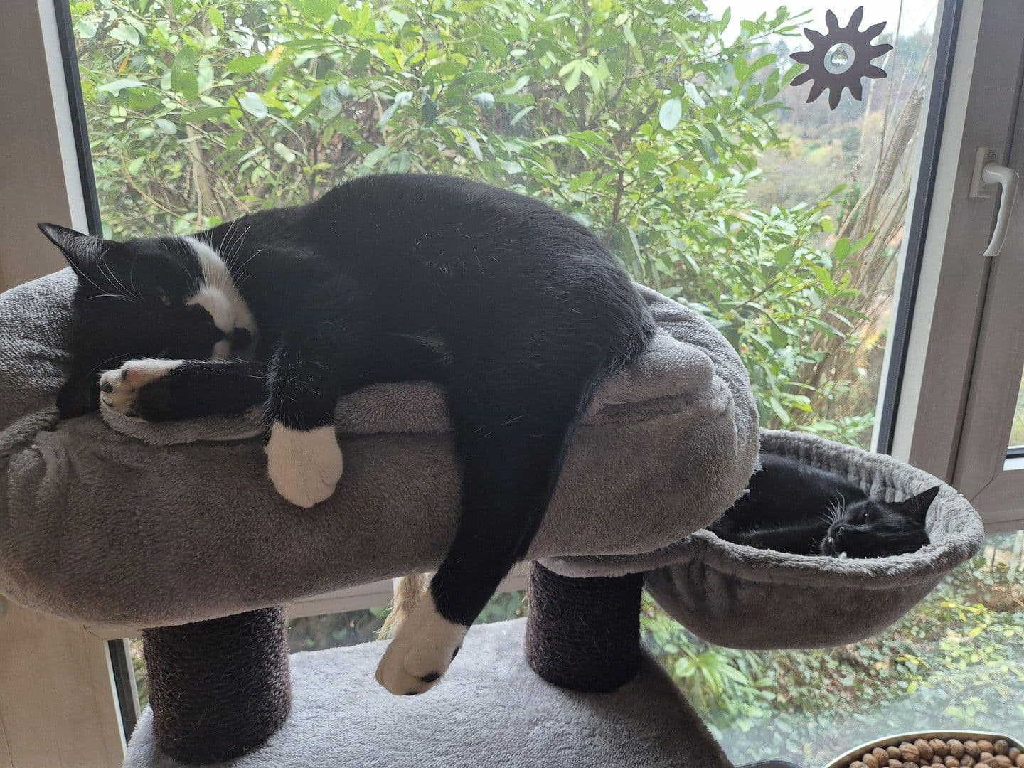 Prenájom bytu 4-izbový 120 m², Weinstadt, Bádensko-Wurttembersko Prenájom bytu 4-izbový 120 m², Weinstadt, Bádensko-Wurttembersko