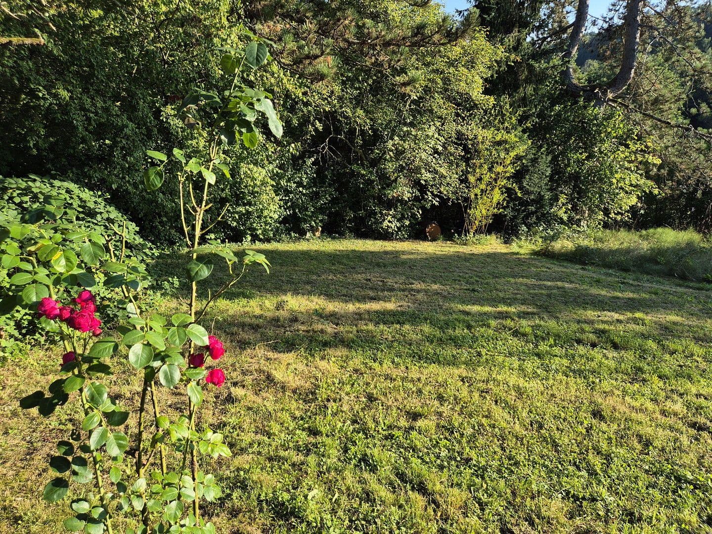 Prenájom bytu 4-izbový 120 m², Weinstadt, Bádensko-Wurttembersko Prenájom bytu 4-izbový 120 m², Weinstadt, Bádensko-Wurttembersko