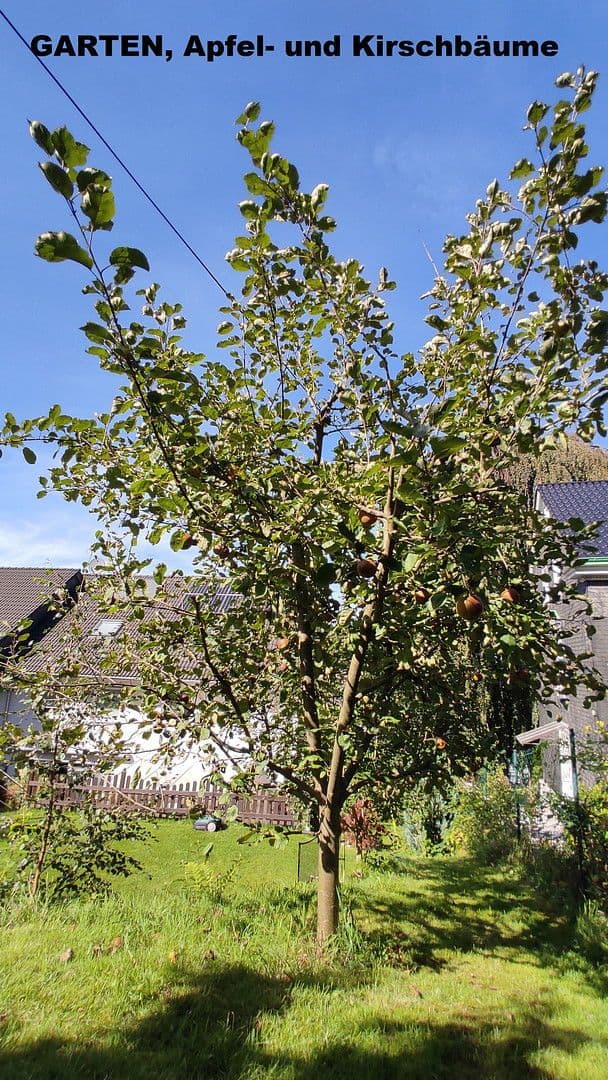 Predaj domu 157 m², pozemek 470 m², Remscheid, Nordrhein-Westfalen, Severné Porýnie - Westfálsko Predaj domu 157 m², pozemek 470 m², Remscheid, Nordrhein-Westfalen, Severné Porýnie - Westfálsko