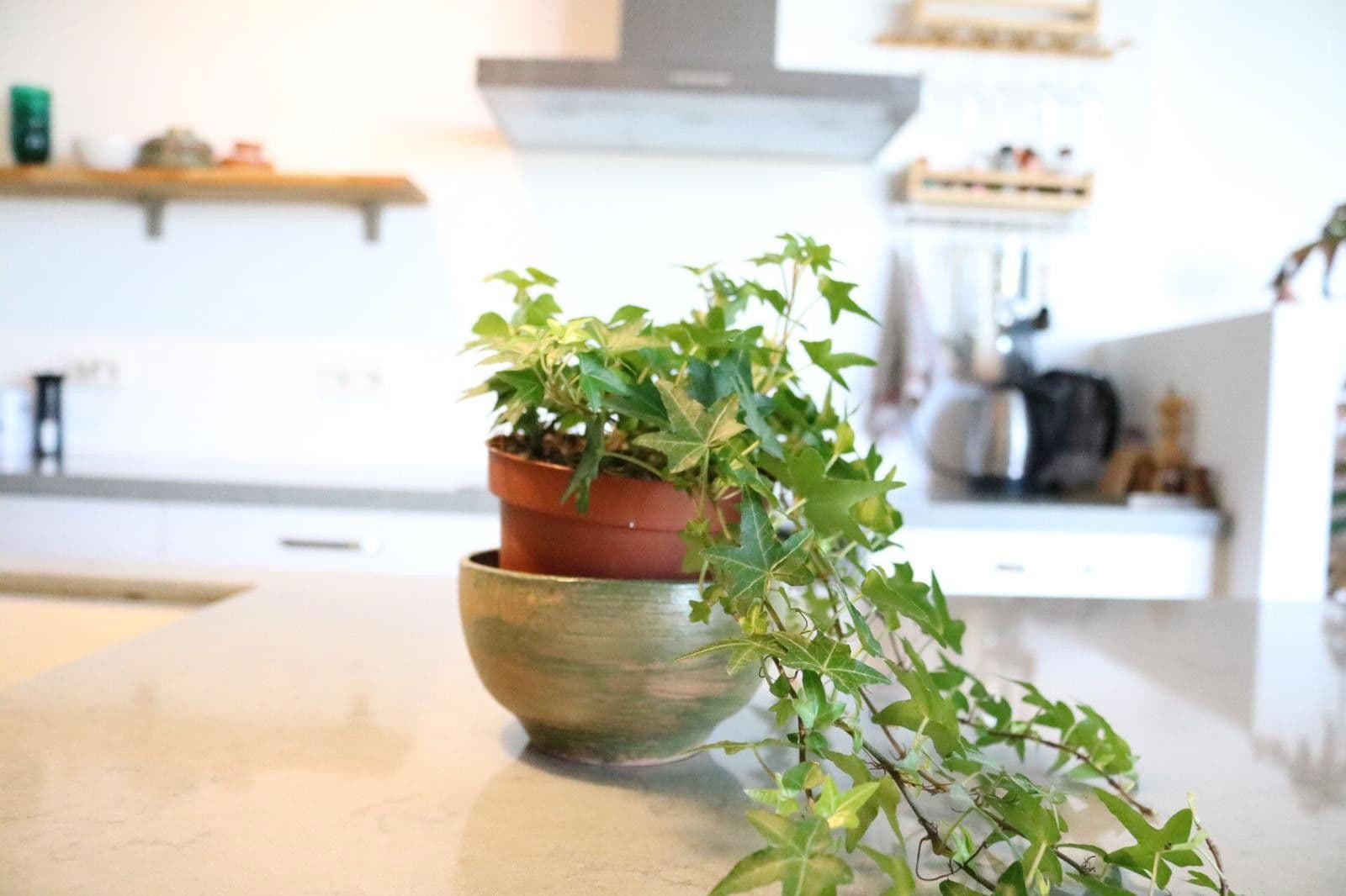 Prenájom bytu 3-izbový 119 m², Berlin, Berlín Prenájom bytu 3-izbový 119 m², Berlin, Berlín