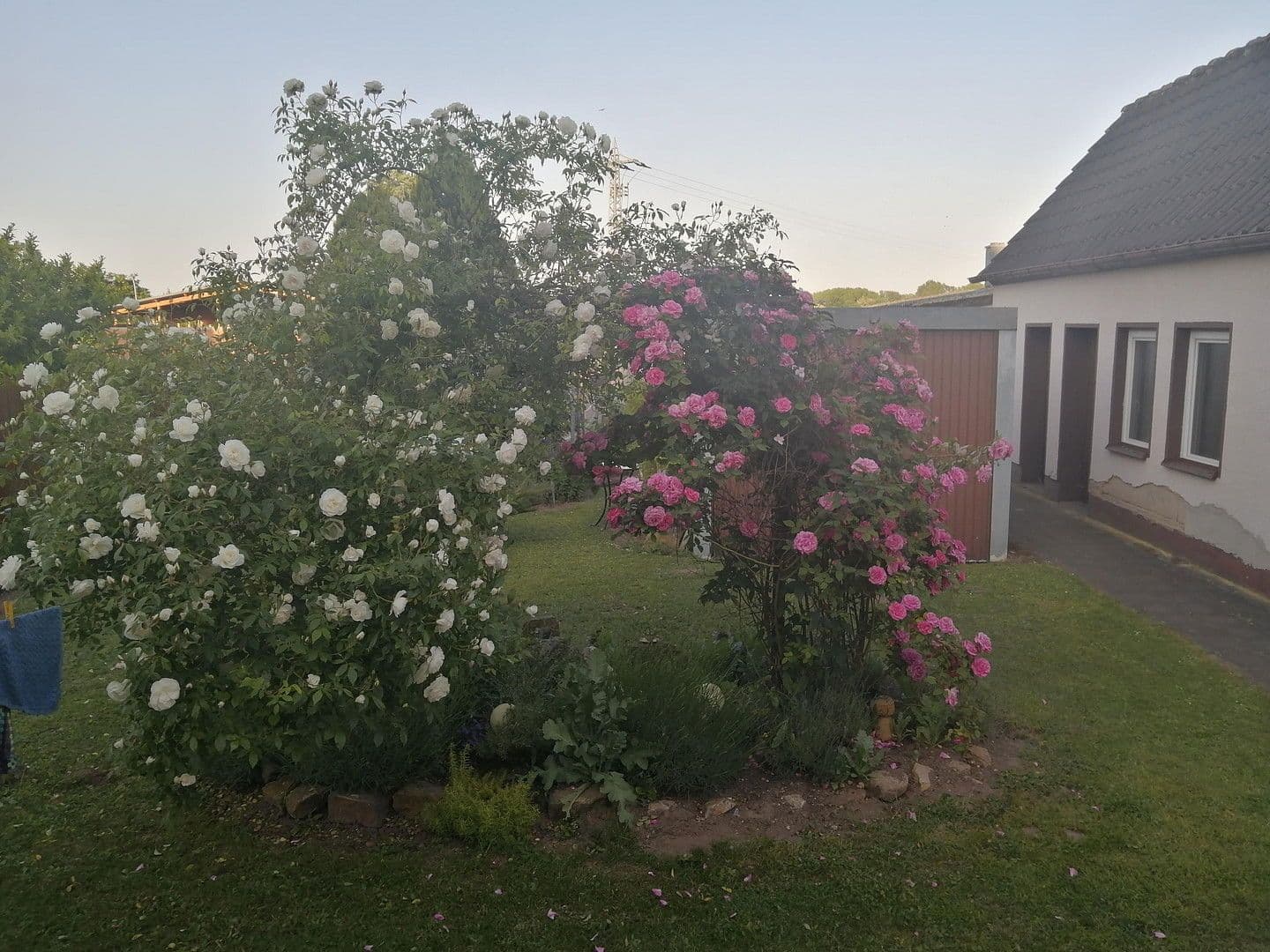 Predaj domu 150 m², pozemek 539 m², Knittelsheim, Porýnie-Falcko Predaj domu 150 m², pozemek 539 m², Knittelsheim, Porýnie-Falcko